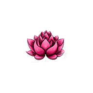 Icono de la aplicación