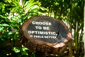 Fotos de Lorena Duarte Diseño & Fotografía