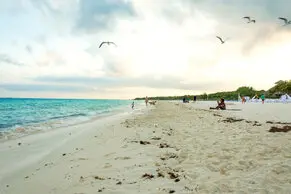 Fotos de Lorena Duarte Diseño & Fotografía