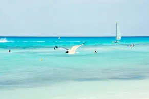 Fotos de Lorena Duarte Diseño & Fotografía