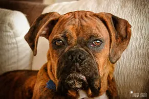 Fotos de Lorena Duarte Diseño & Fotografía