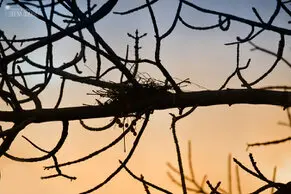 Fotos de Lorena Duarte Diseño & Fotografía