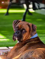 Fotos de Lorena Duarte Diseño & Fotografía